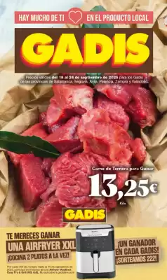 Folleto Gadis (válido hasta el 24-09)