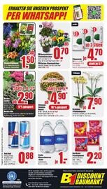 B1 Discount Baumarkt Prospekt woche 38 Seite 8