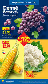 Lidl leták Strana 14