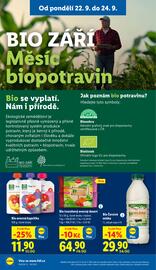 Lidl leták Strana 22