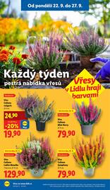 Lidl leták Strana 27