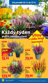 Lidl leták Strana 33