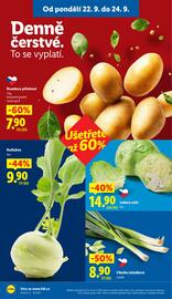 Lidl leták Strana 8