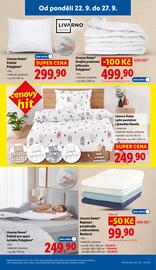 Lidl leták týden 39 Strana 13