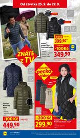 Lidl leták týden 39 Strana 22
