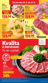 Lidl leták Strana 11