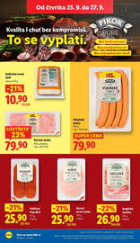 Lidl leták Strana 16