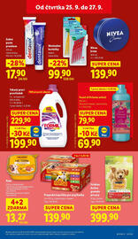 Lidl leták Strana 29