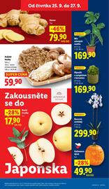 Lidl leták Strana 9