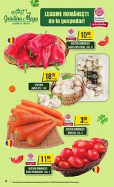 Catalog Mega Image săptămâna 38 Pagină 14