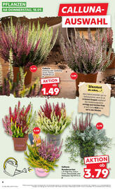 Kaufland Prospekt woche 38 Seite 4