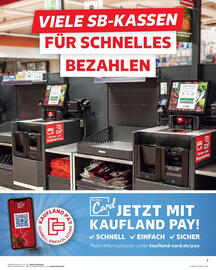 Kaufland Prospekt woche 38 Seite 7