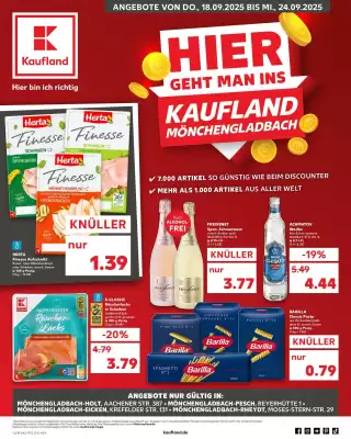 Kaufland Prospekt (gültig bis 24-09)