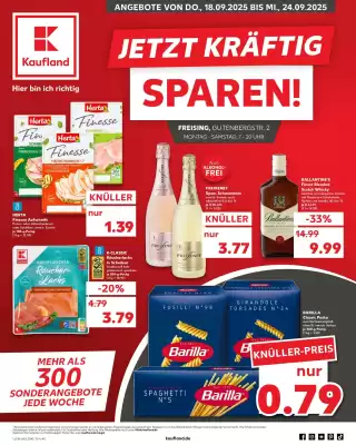 Kaufland Prospekt (gültig bis 24-09)