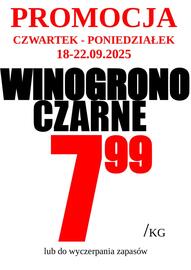 Wizan gazetka tydzień 38 Strona 1
