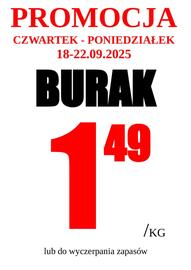 Wizan gazetka tydzień 38 Strona 6