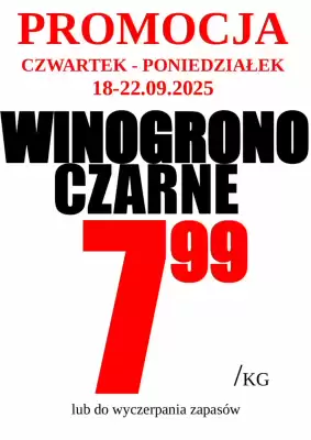 Wizan gazetka (ważność do 23-09)