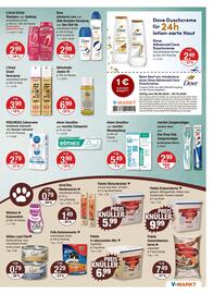 V Markt Prospekt woche 39 Seite 15