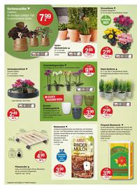 V Markt Prospekt woche 39 Seite 20