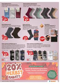 V Markt Prospekt woche 39 Seite 21