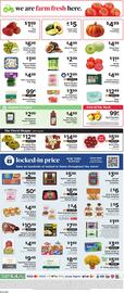 ShopRite flyer Page 9