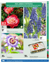Catalogue Carrefour Market page 5
