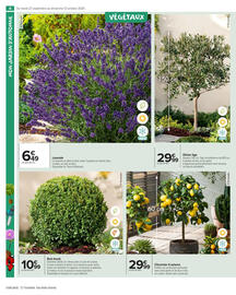 Catalogue Carrefour Market page 6
