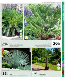 Catalogue Carrefour Market page 7