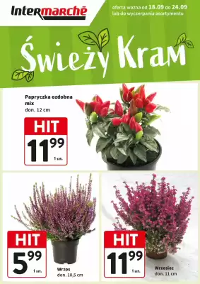 Intermarche gazetka (ważność do 24-09)