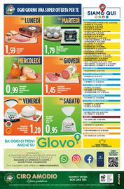 Volantino Ciro Amodio Pagina 12