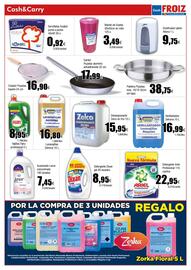 Folleto FROIZ Página 13