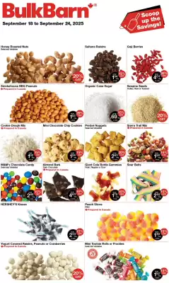 Bulk Barn flyer (valid until 21-09)