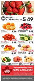 IGA flyer Page 6