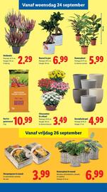 Lidl folder Pagina 18