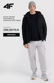 4F gazetka tydzień 38 Strona 8