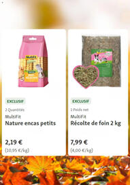 Maxi Zoo folder Pagina 6