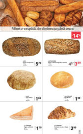 Catalog Selgros Pagină 7