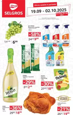 Catalog Selgros (valid până la 2-10)