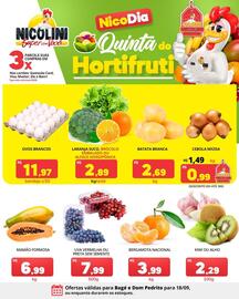 Catálogo Super Nicolini Página 3