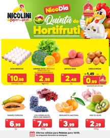 Catálogo Super Nicolini Página 7