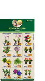 Catálogo Supermercados Avenida Página 3