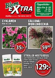 Extra Mjällby Stormarknad reklamblad vecka 38 Sida 17
