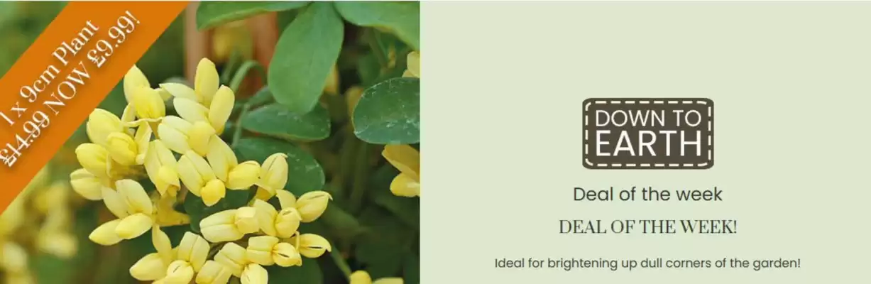 Dobbies catalogue (valid until 26-09)