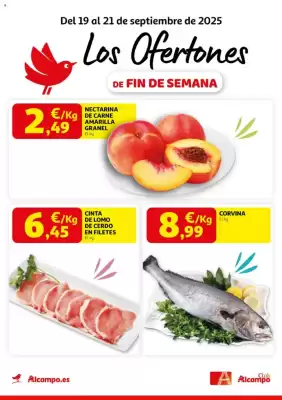 Folleto Alcampo (válido hasta el 21-09)
