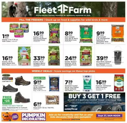 Mills Fleet Farm weekly ad (valid until 24-09)