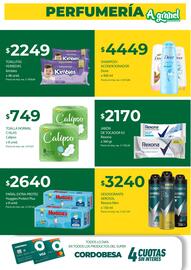 Catálogo Supermercados A Granel semana 38 Página 10