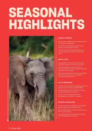 Flight Centre brochure Page 13