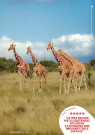 Flight Centre brochure Page 17