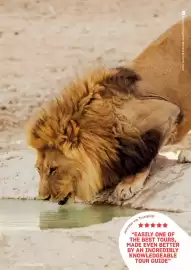 Flight Centre brochure Page 21