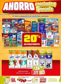 Folleto Soriana Mercado Página 3